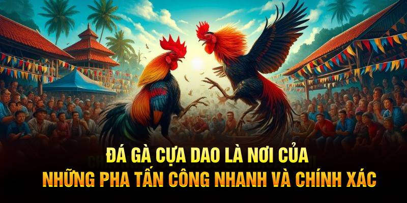 Đá gà cựa dao là nơi của những pha tấn công nhanh và chính xác
