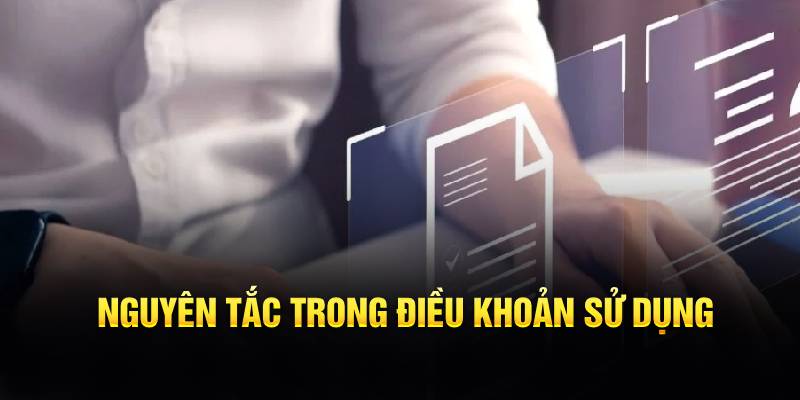Nguyên tắc rõ ràng trong điều khoản sử dụng
